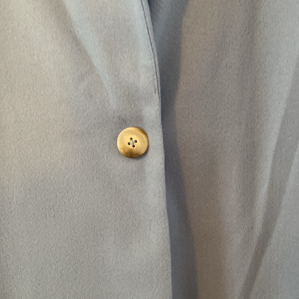Powder, blue coat - Picture 2 of 3